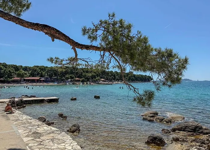 Apartman Noni Biograd Na Moru Apartment *