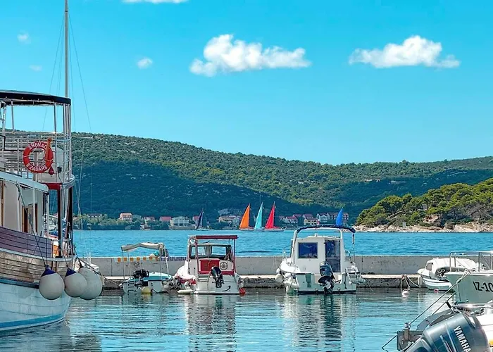 Noni Biograd Na Moru